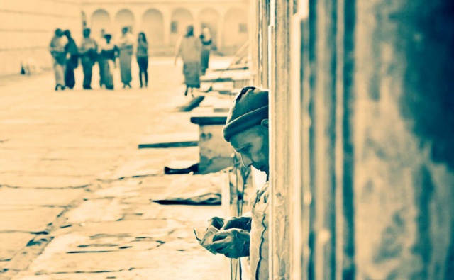 «Я живой»: фонд «Линия цвета»…